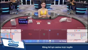 rồng hổ tại casino trực tuyến